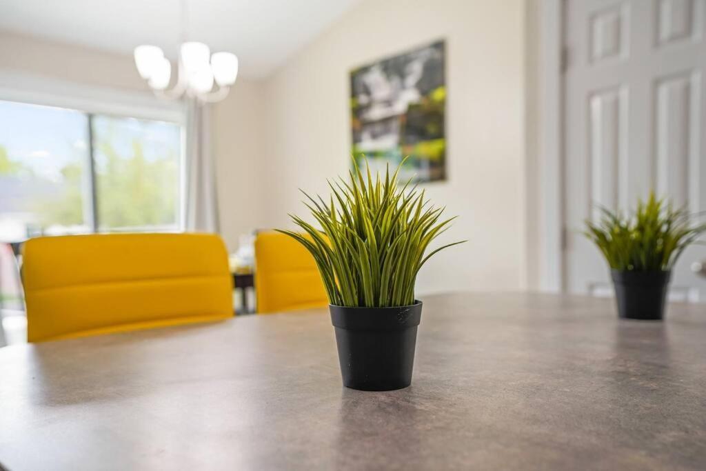 Remodeled, Charming Retreat On The City'S Doorstep Boise Exterior photo